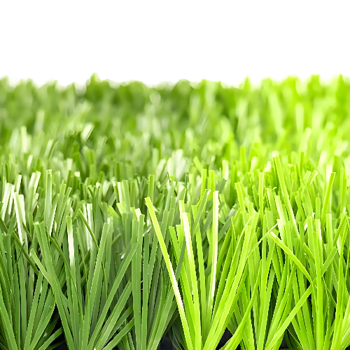 人造草坪